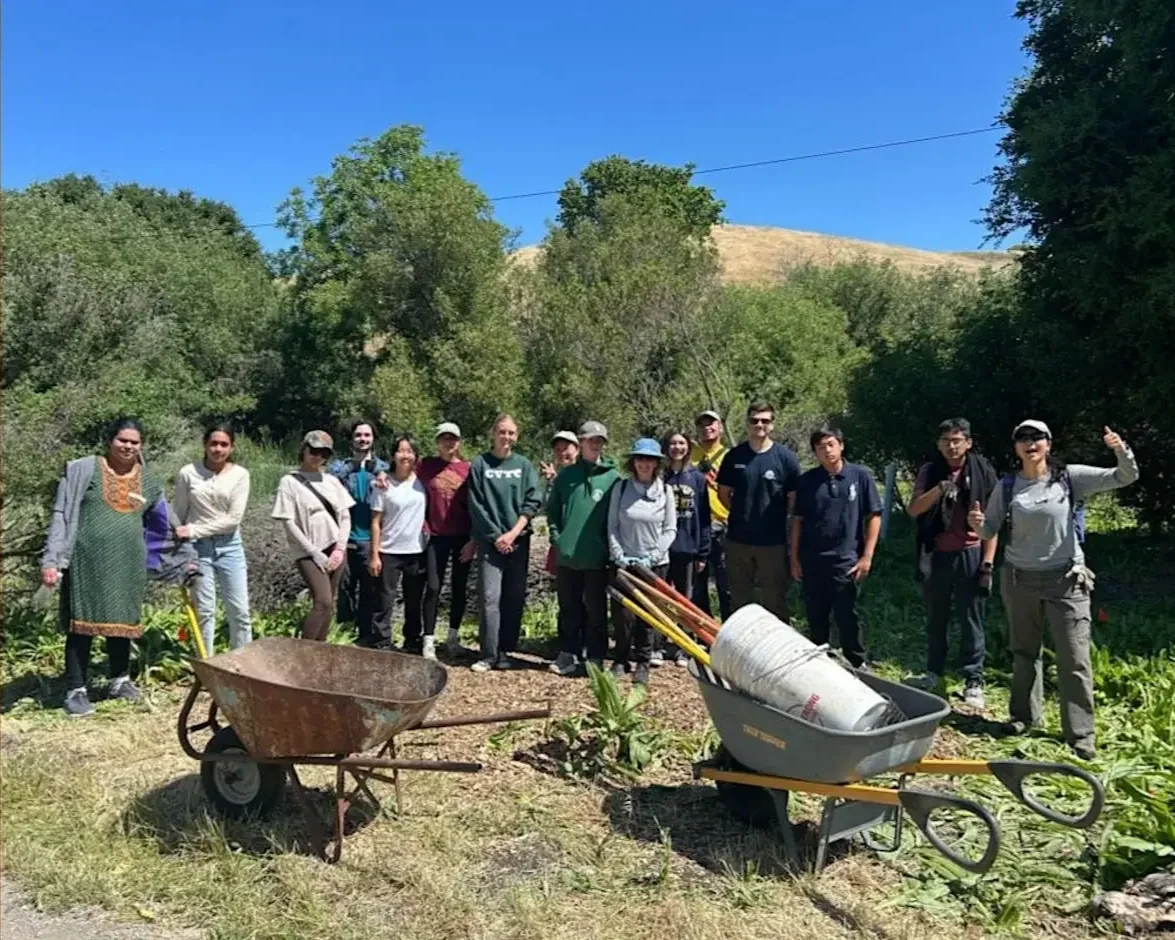 Volunteer Outdoors in Palo Alto at Pearson-Arastradero Preserve