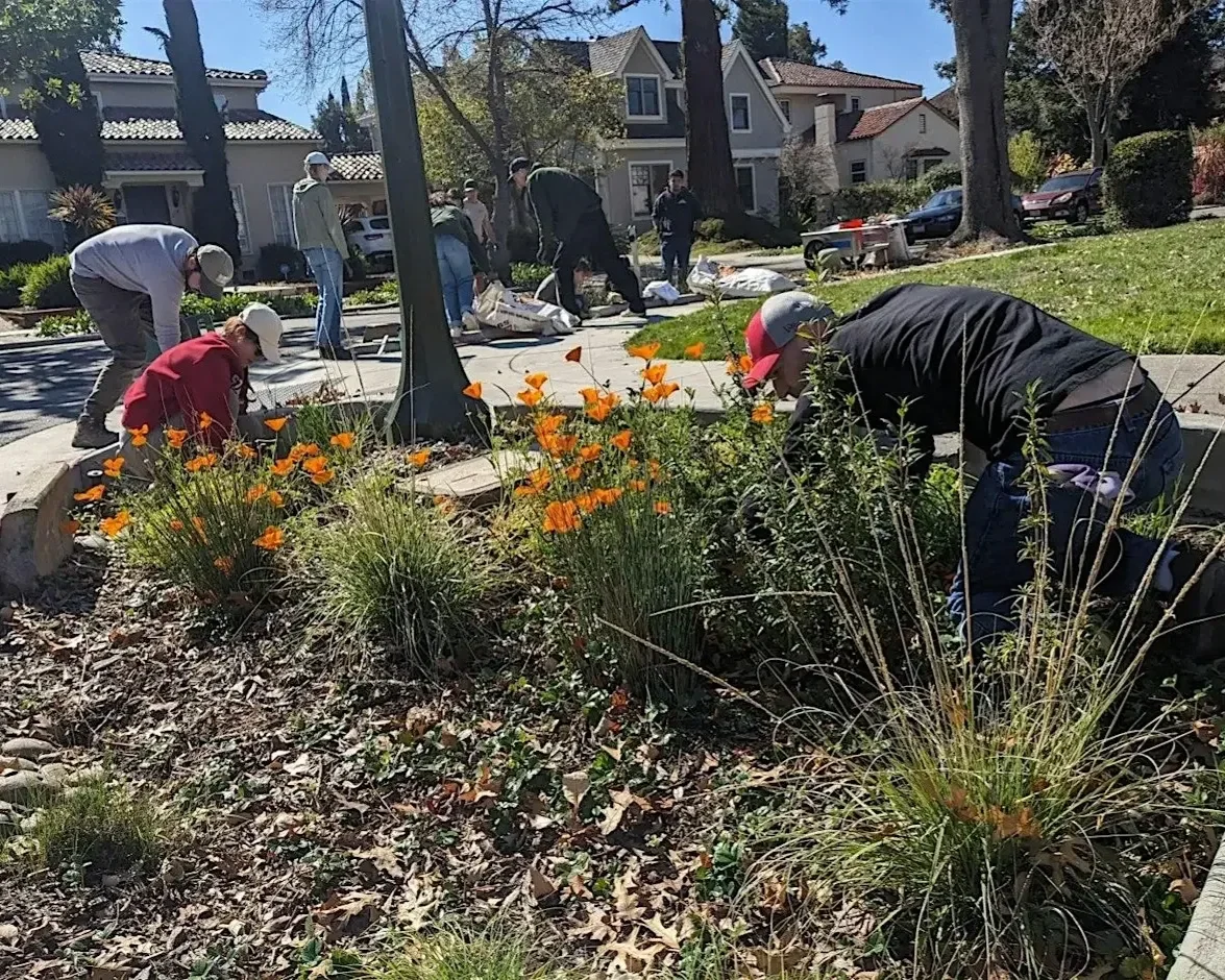 Volunteer Outdoors in Palo Alto: Bioretention Area Maintenance at Southgate