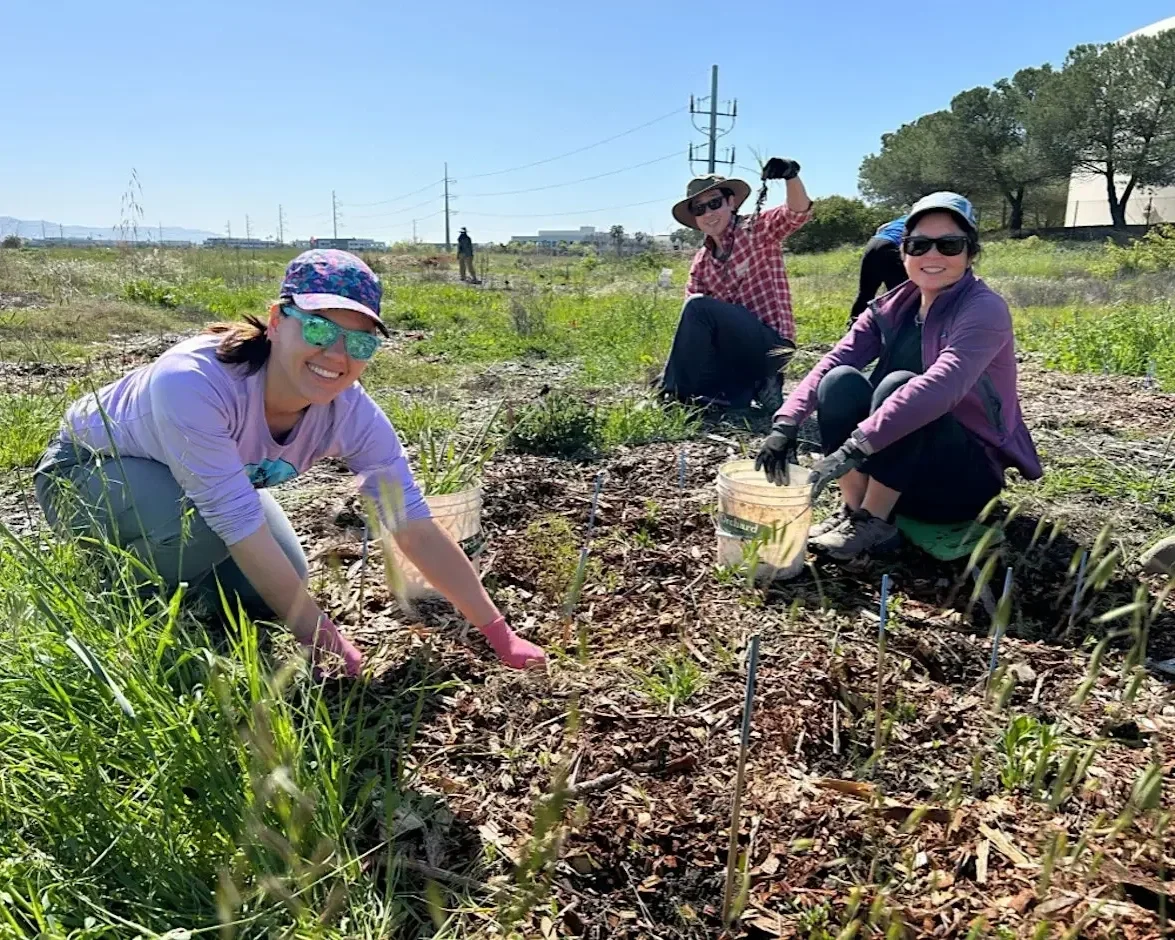 Volunteer Outdoors in Alviso at the Burrowing Owl Project (18+)