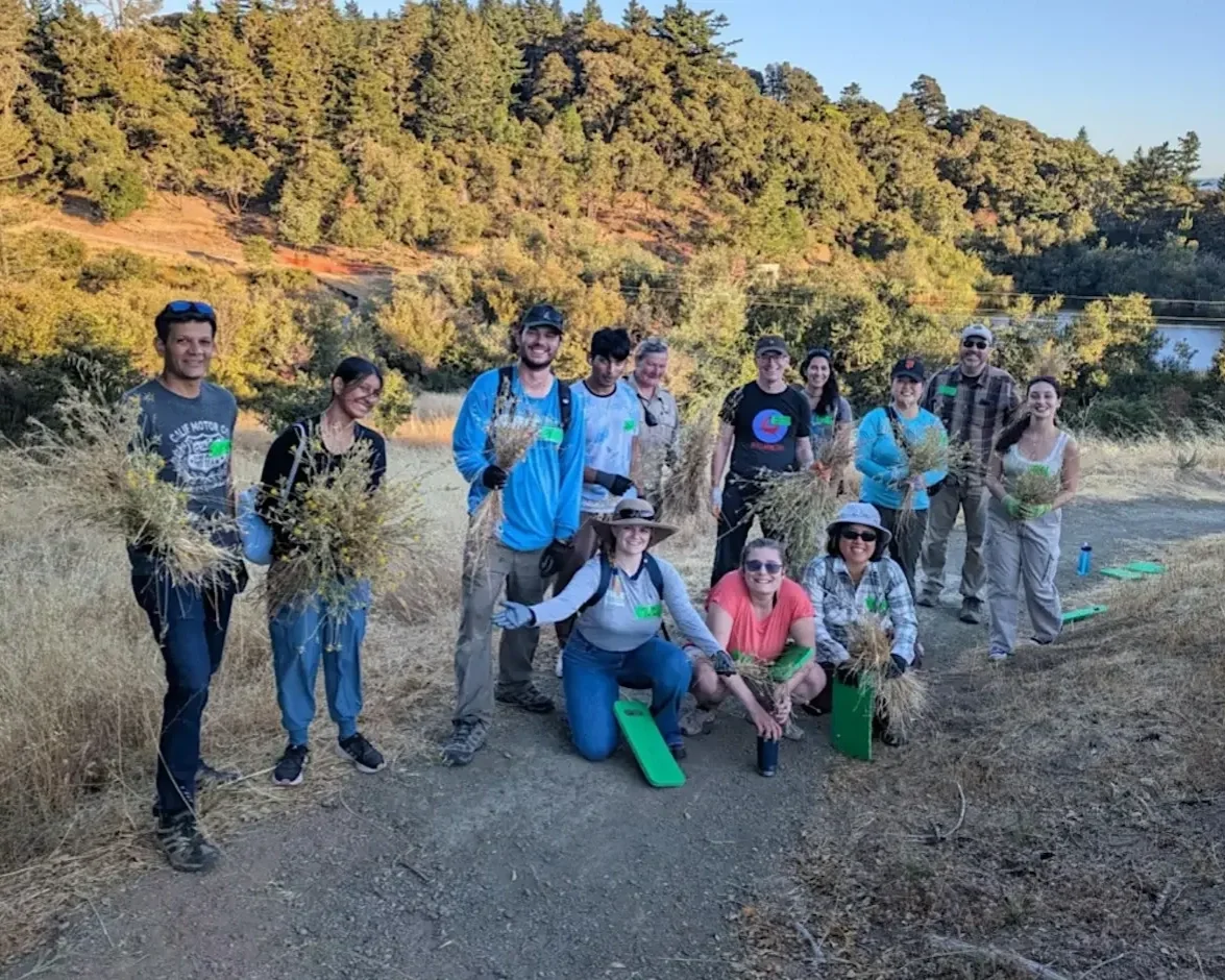 Sunset Restoration at Russian Ridge Open Space Preserve