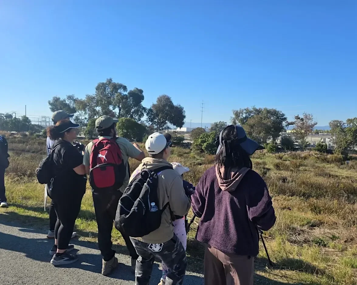 Nature Caminata: Observar Aves/Bird Watching con SFBBO en East Palo Alto