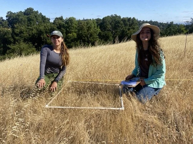 Where Are They Now? Catching Up with 3 Grassroots Ecology Alumni