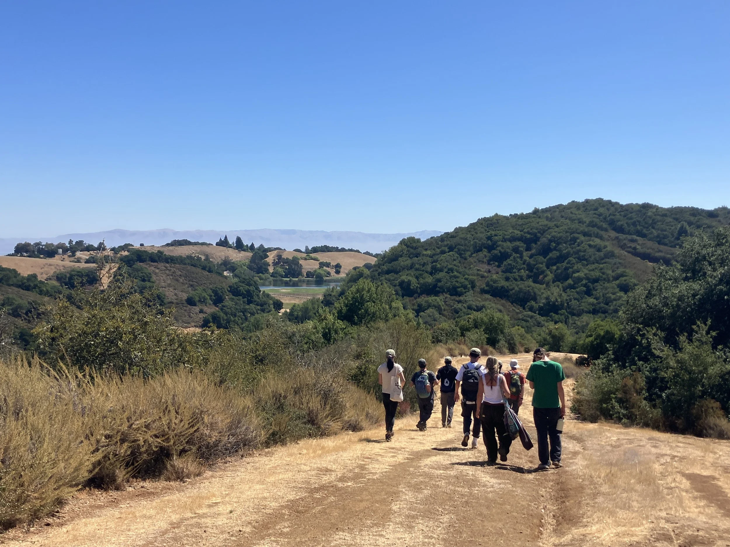 Fire Ecology Walk at Foothills Nature Preserve in Palo Alto