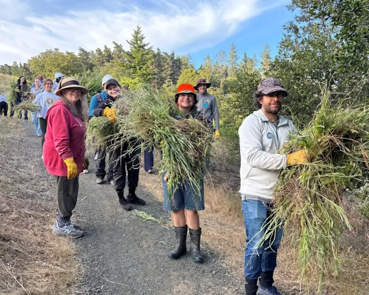 Give to the Grasslands: Volunteer in Portola Valley at Hawthorns