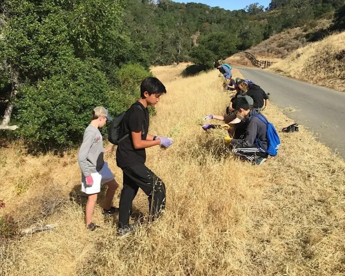 Volunteer Outdoors in Palo Alto at Foothills Nature Preserve