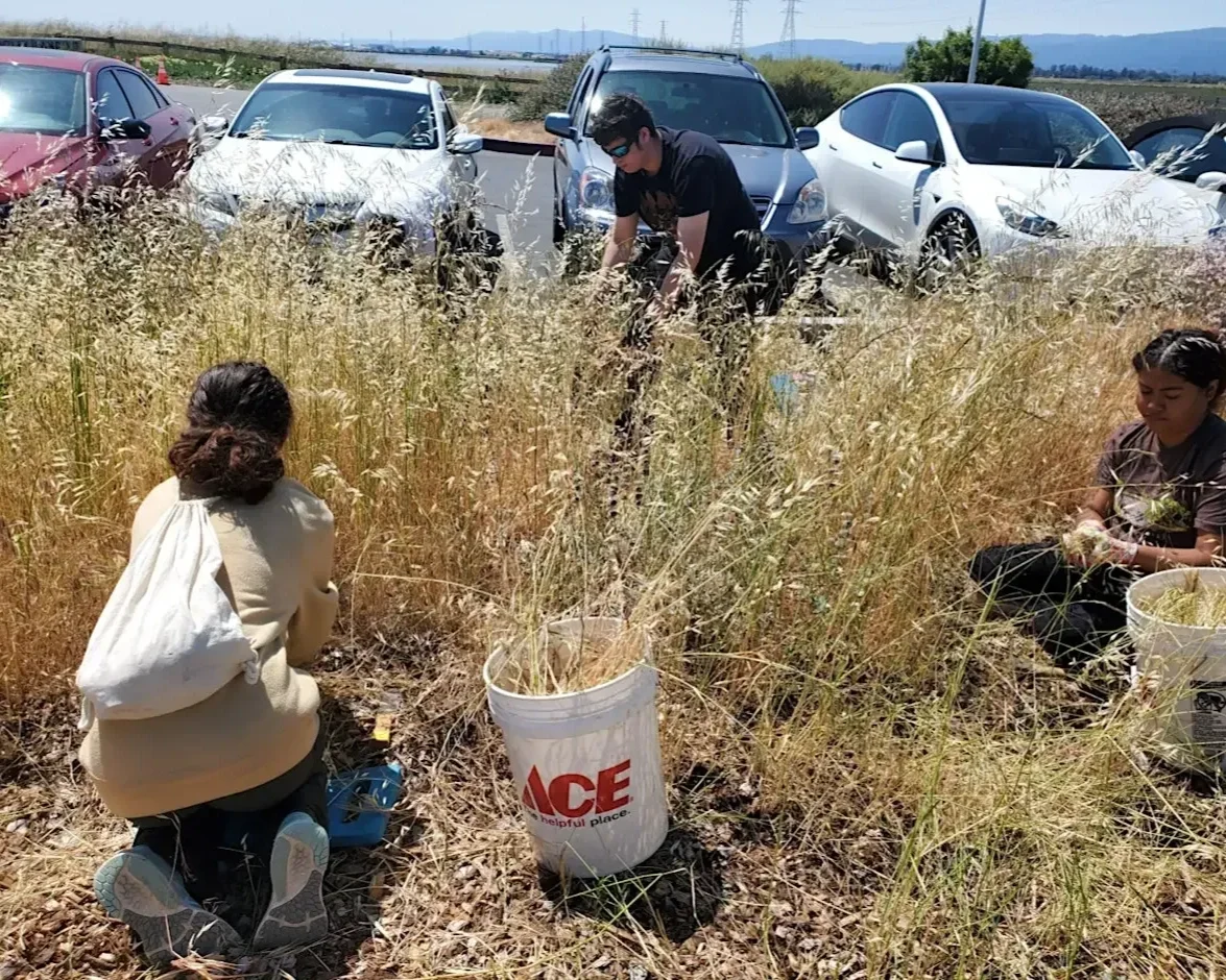Volunteer Outdoors in East Palo Alto at Cooley Landing