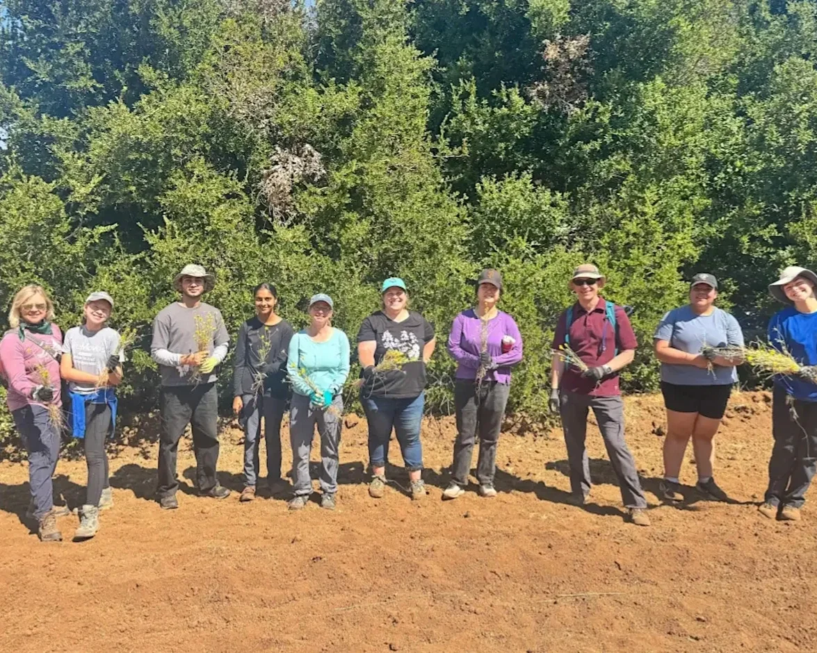 Sunset Restoration in Portola Valley at Hawthorns