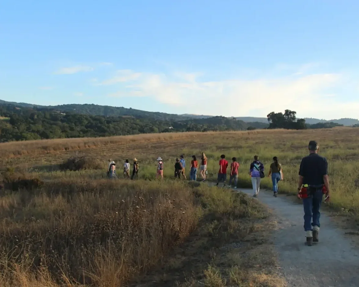 The Canvas of Nature: Naturalist Walk at Pearson-Arastradero Preserve
