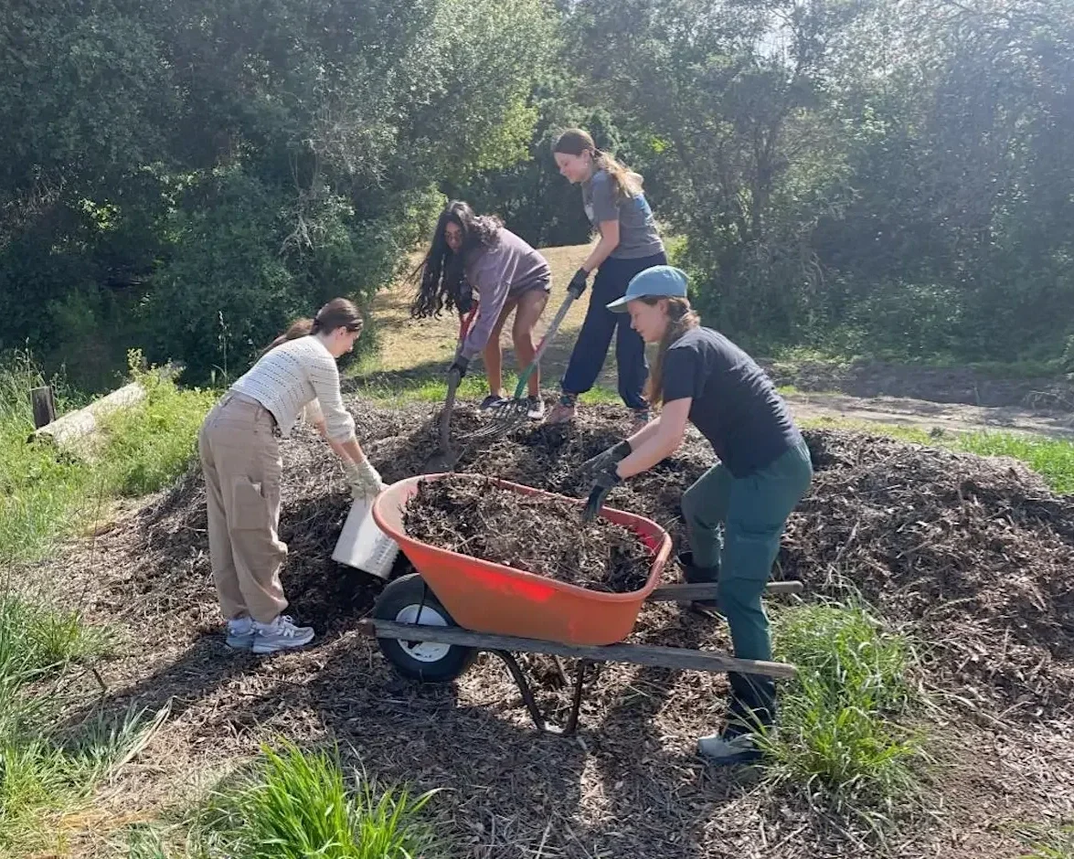 Sheet Mulch at Byrne Preserve in Los Altos Hills