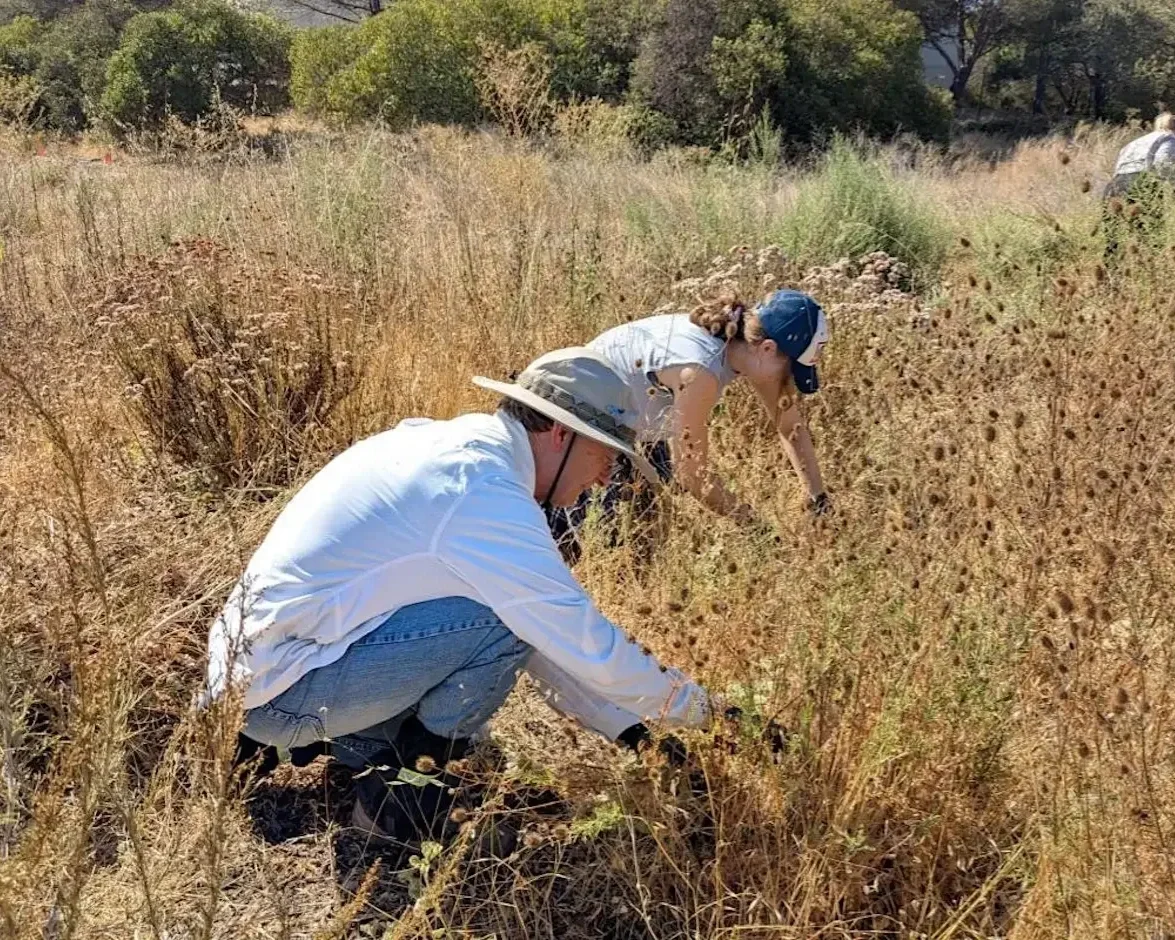 Volunteer Outdoors in Alviso at the Burrowing Owl Project (18+)
