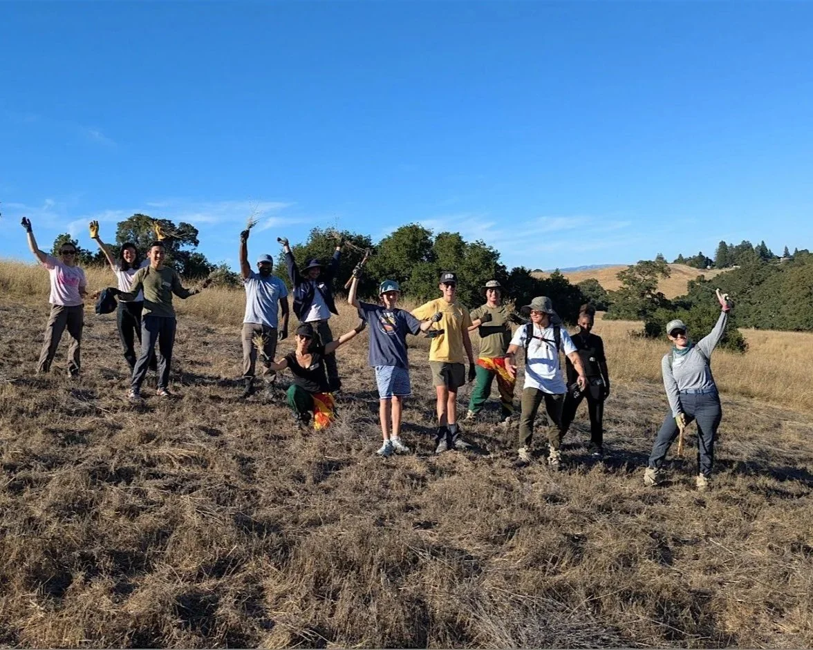 Volunteer Outdoors in Palo Alto at Pearson-Arastradero Preserve