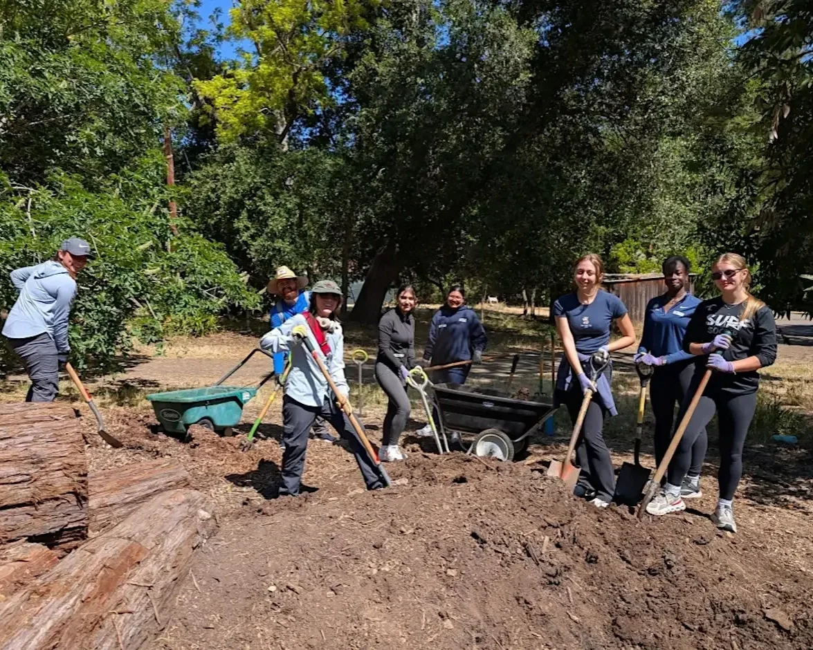 Volunteer Outdoors at Redwood Grove in Los Altos