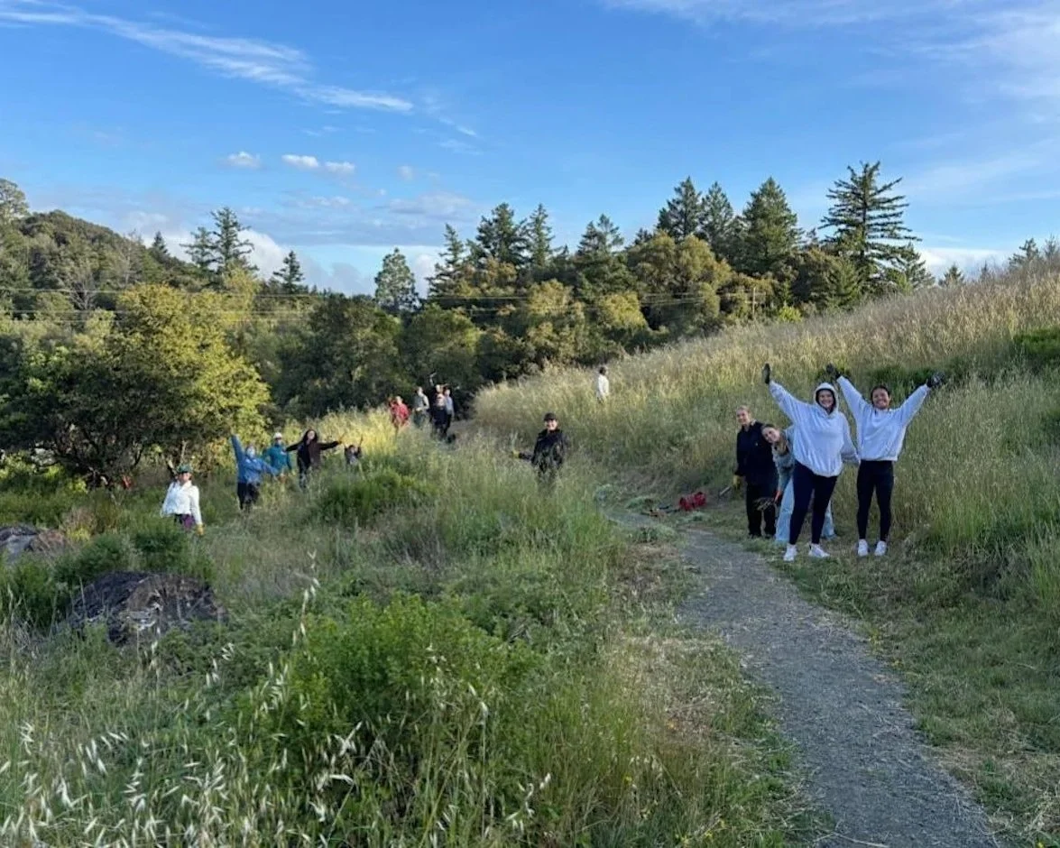 Sunset Restoration at Russian Ridge Open Space Preserve