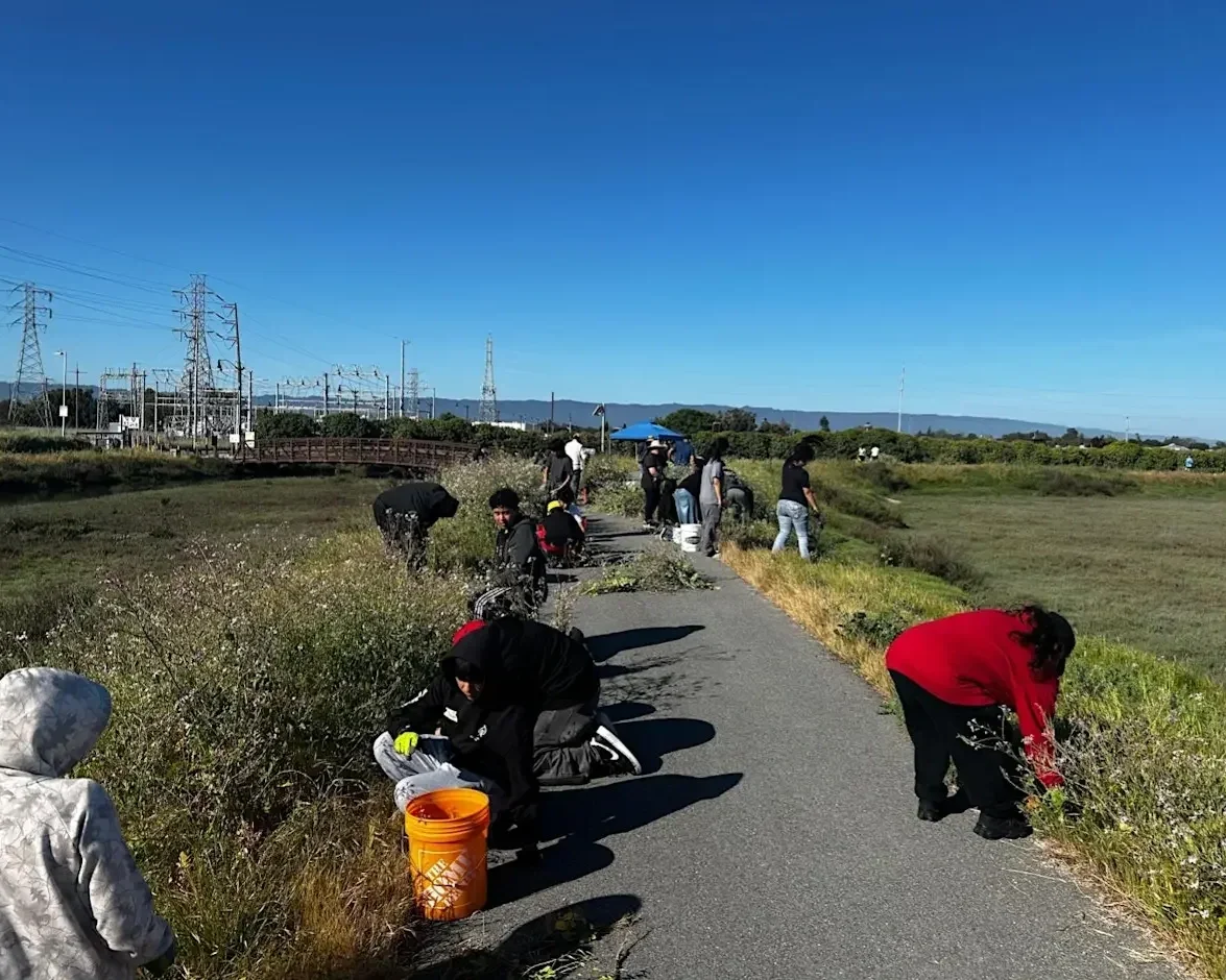 Volunteer Outdoors in East Palo Alto at Ravenswood