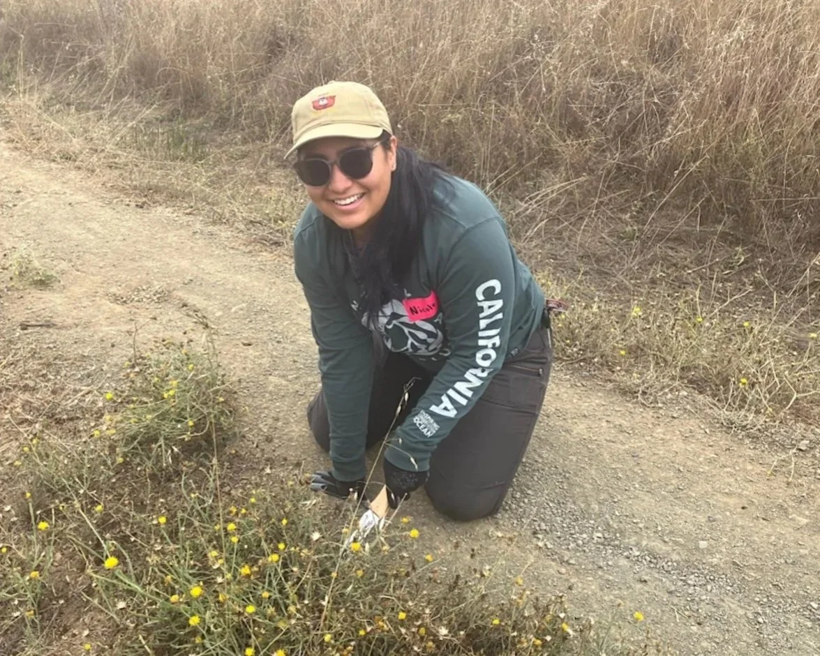 Boost Biodiversity at Russian Ridge Open Space Preserve