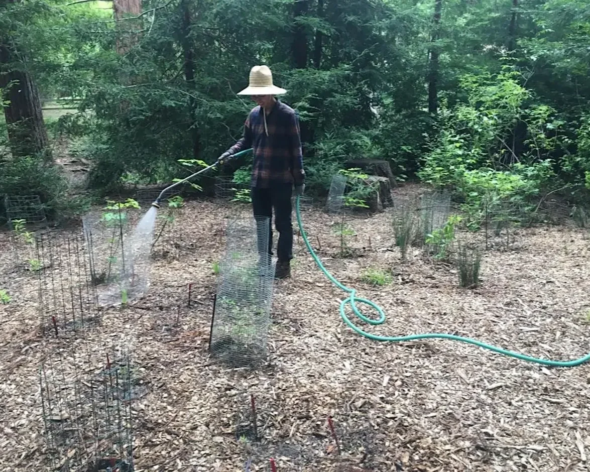 Volunteer Outdoors at Redwood Grove in Los Altos