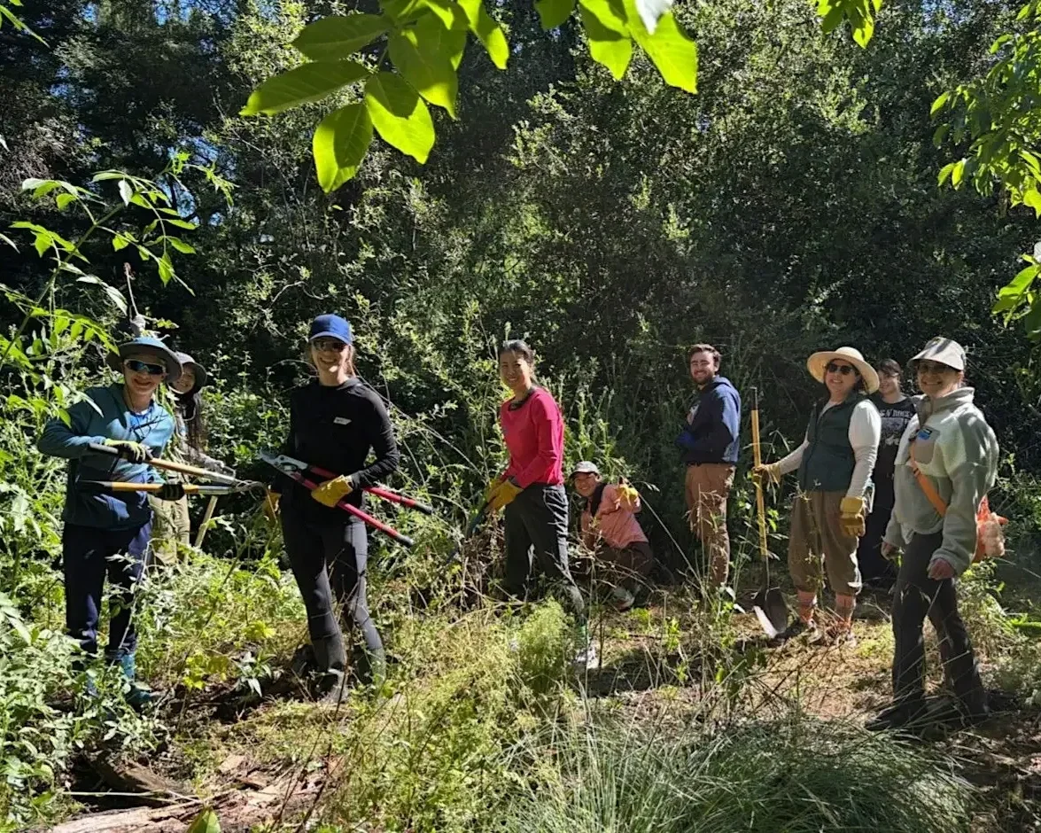 Volunteer Outdoors at Redwood Grove in Los Altos