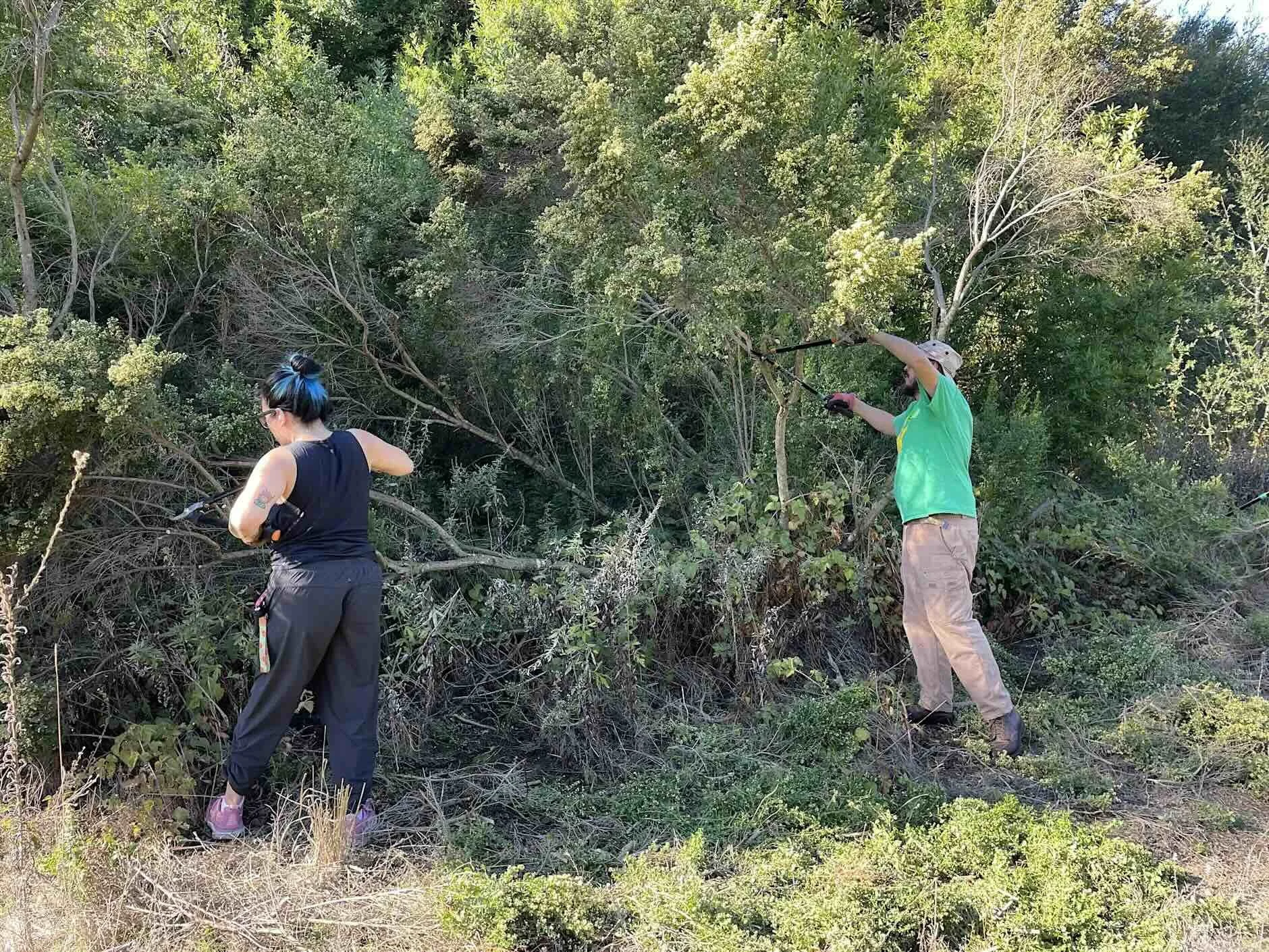 Compassion Week: Volunteer Outdoors at Foothills Nature Preserve