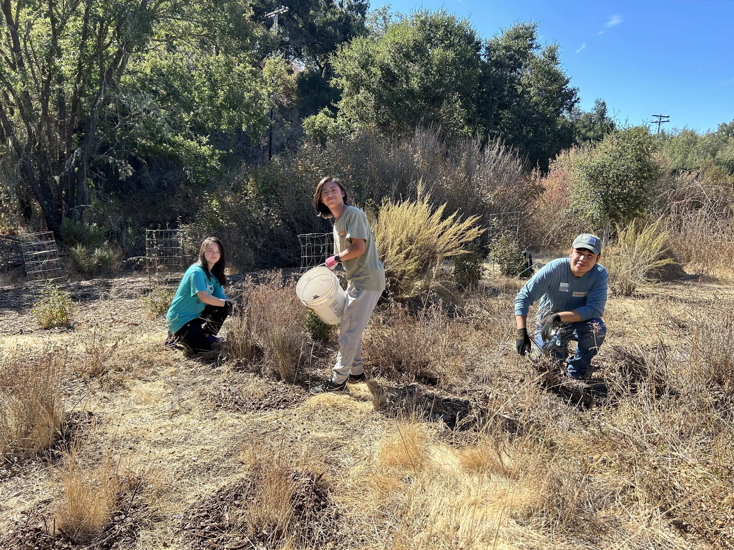 Volunteer Outdoors in Palo Alto at Pearson-Arastradero Preserve