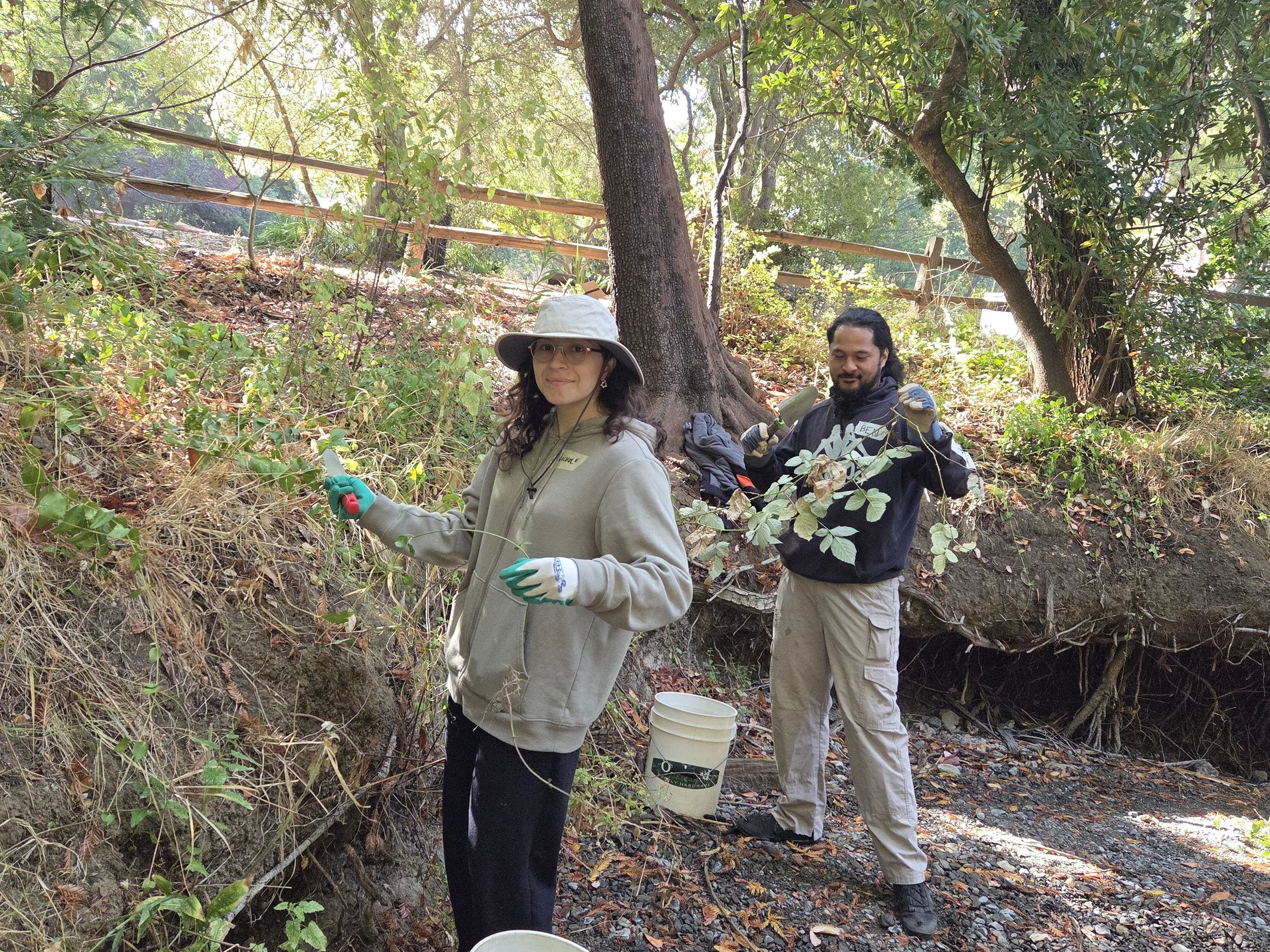 Volunteer Outdoors at Redwood Grove in Los Altos