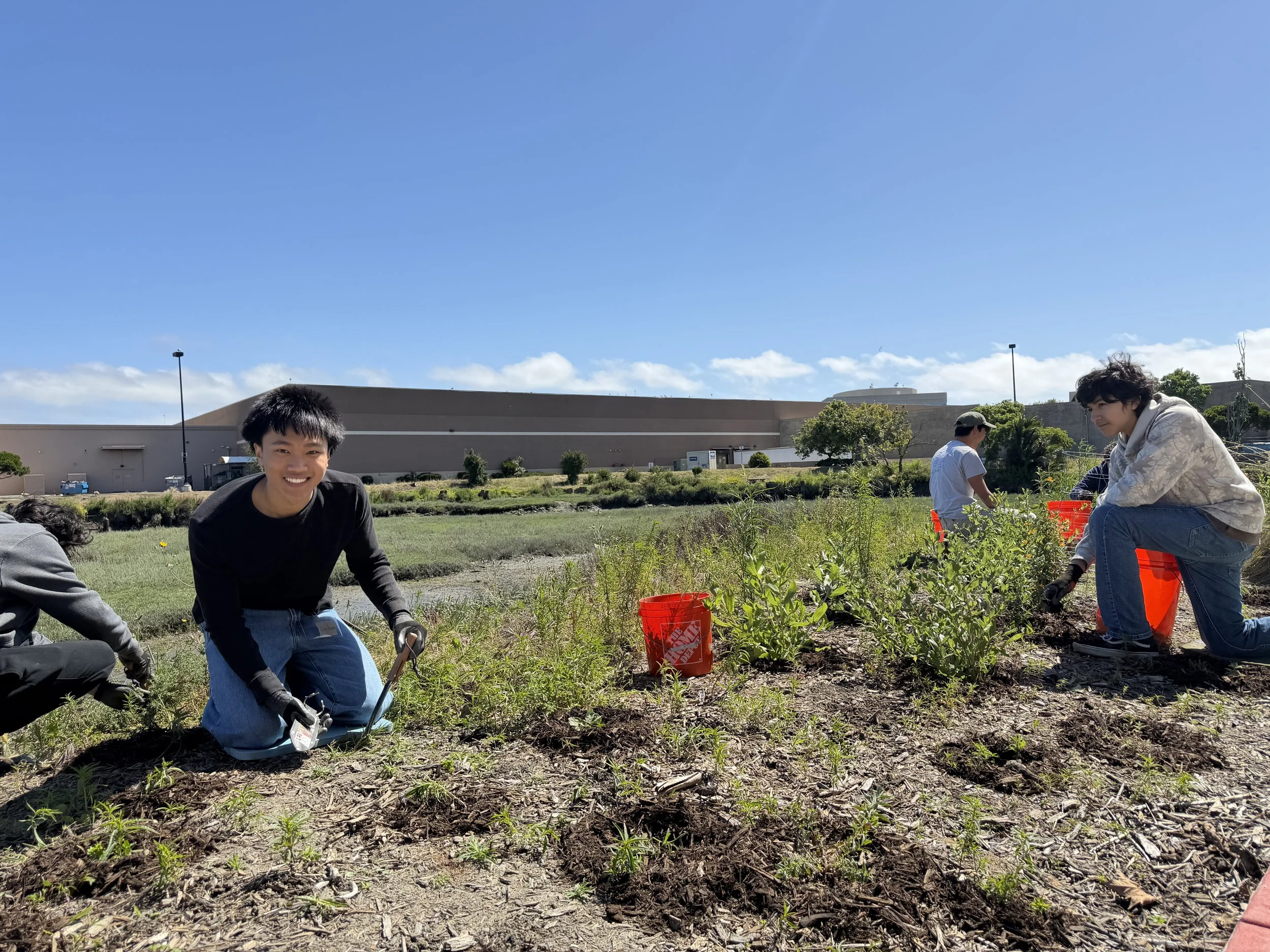 Volunteer Outdoors in Redwood City: Habitat Restoration at Redwood Creek