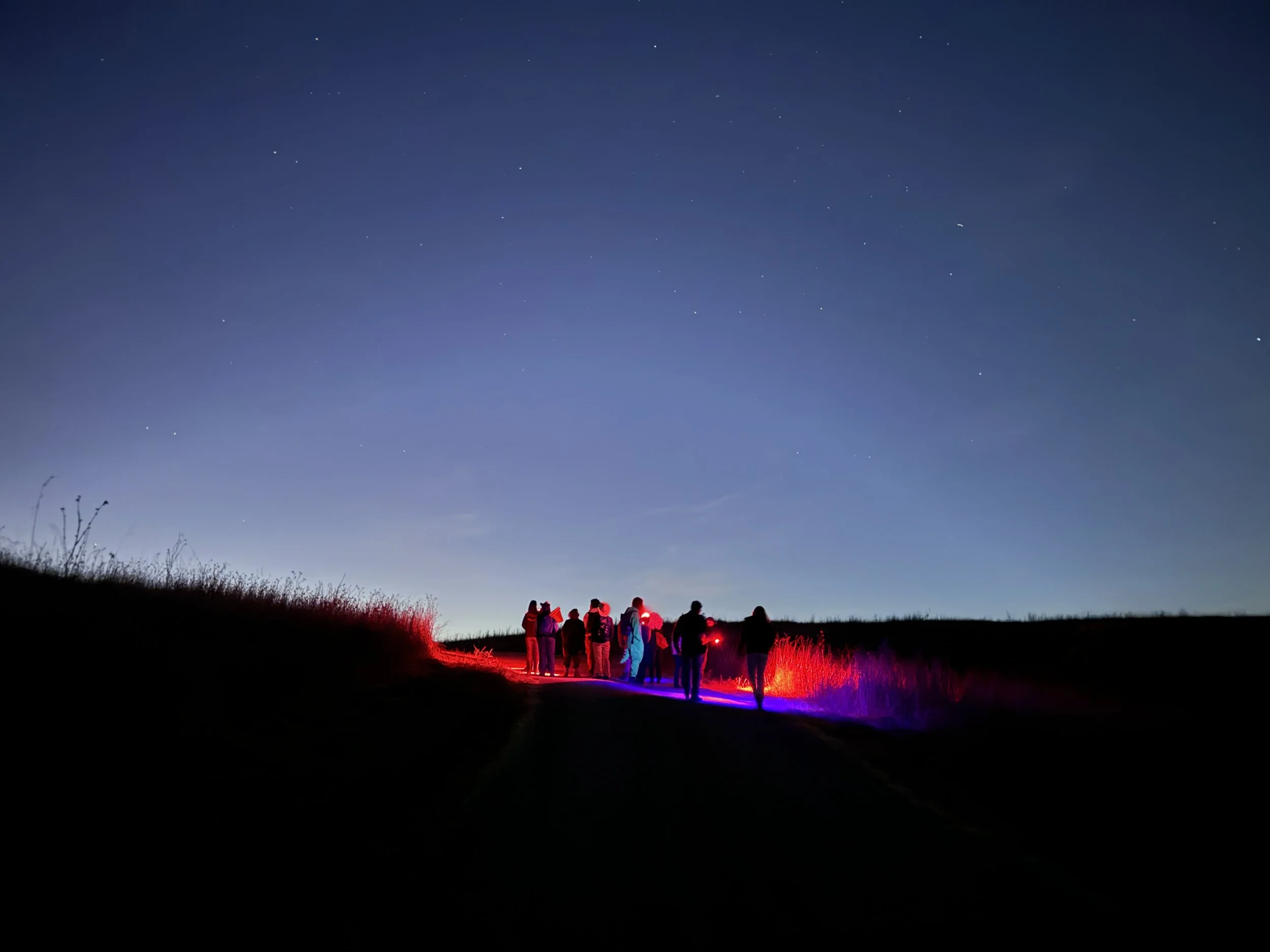 Night Hike at Pearson-Arastradero Preserve
