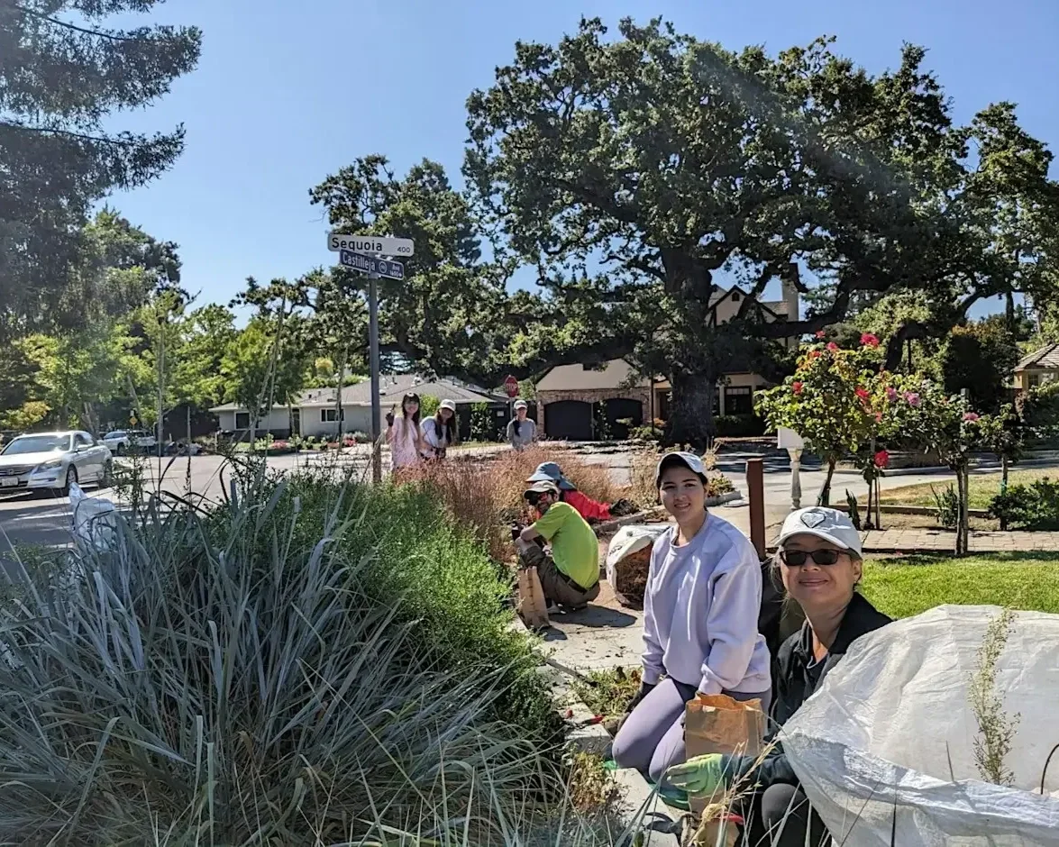 Volunteer Outdoors in Palo Alto: Bioretention Area Maintenance at Southgate