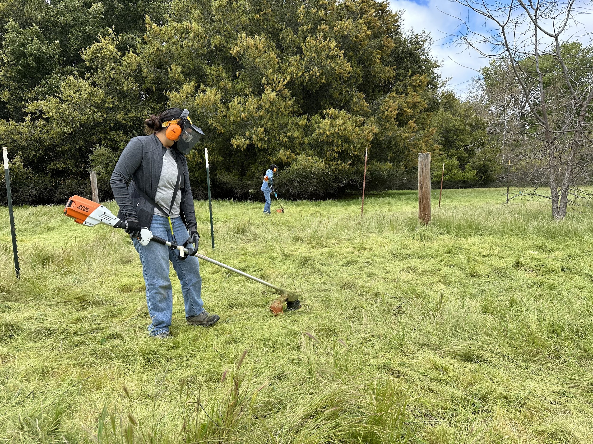 Environmental Internships in the Bay Area — Grassroots Ecology