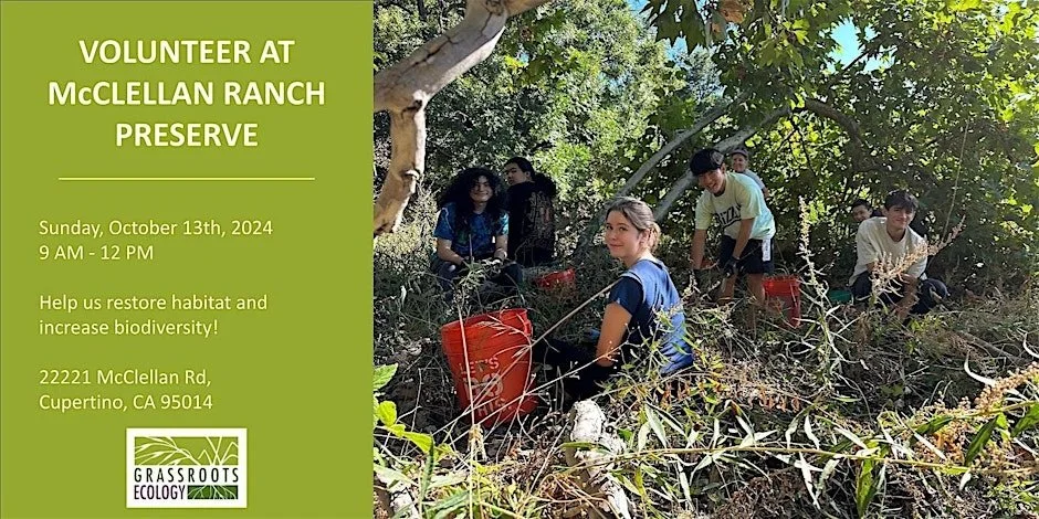 Mcclellan Ranch Rules Food Volunteer at McClellan Ranch Preserve in Cupertino — Grassroots Ecology