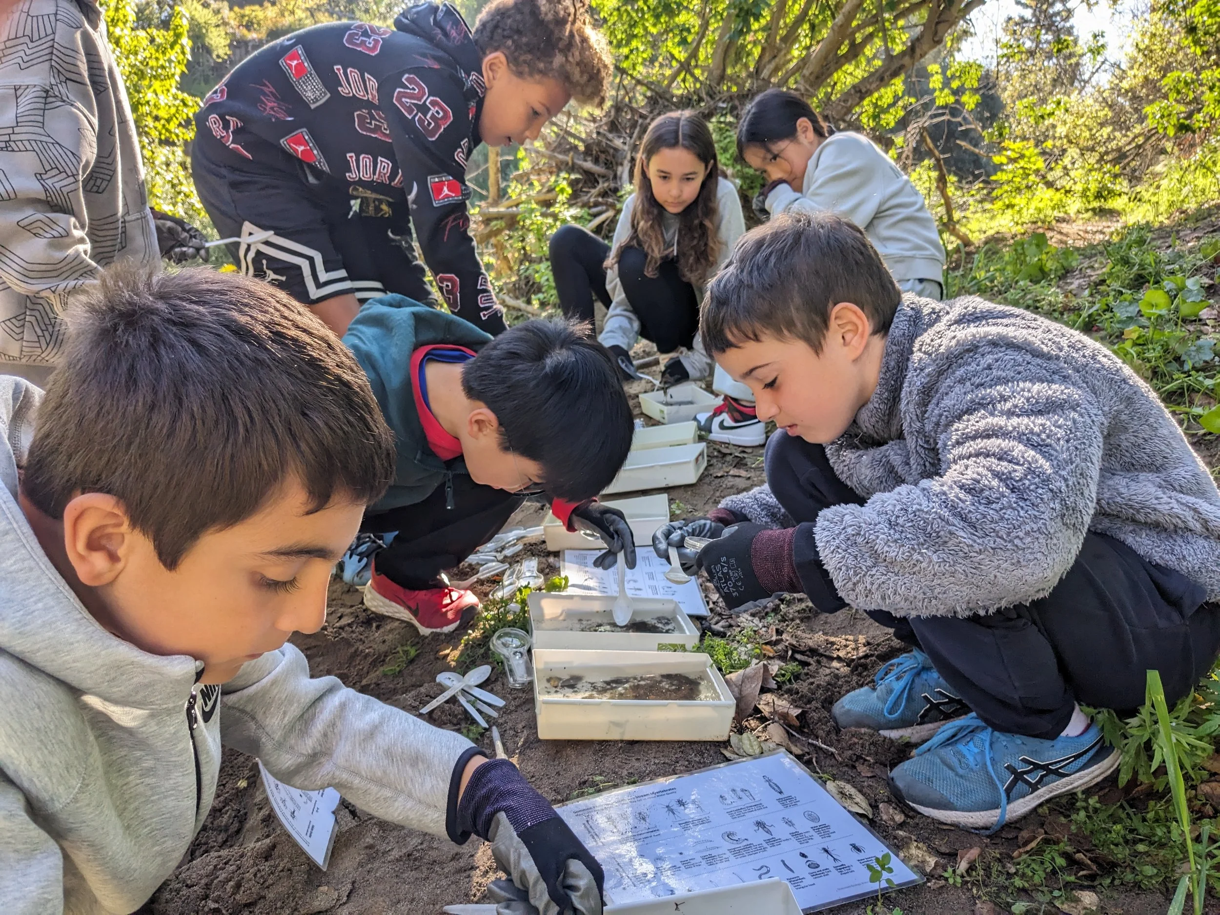 Nature Knowledge Nature Education for All Ages — Grassroots Ecology