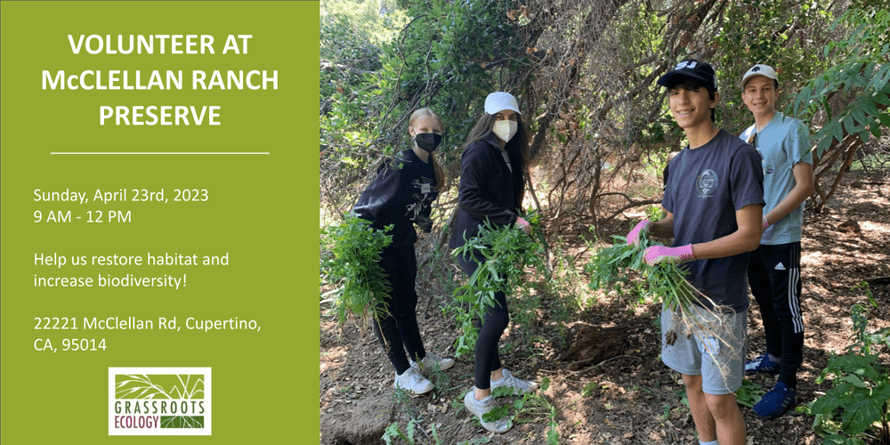 Nurture Nature: Volunteer Outdoors in Cupertino at McClellan Ranch ...