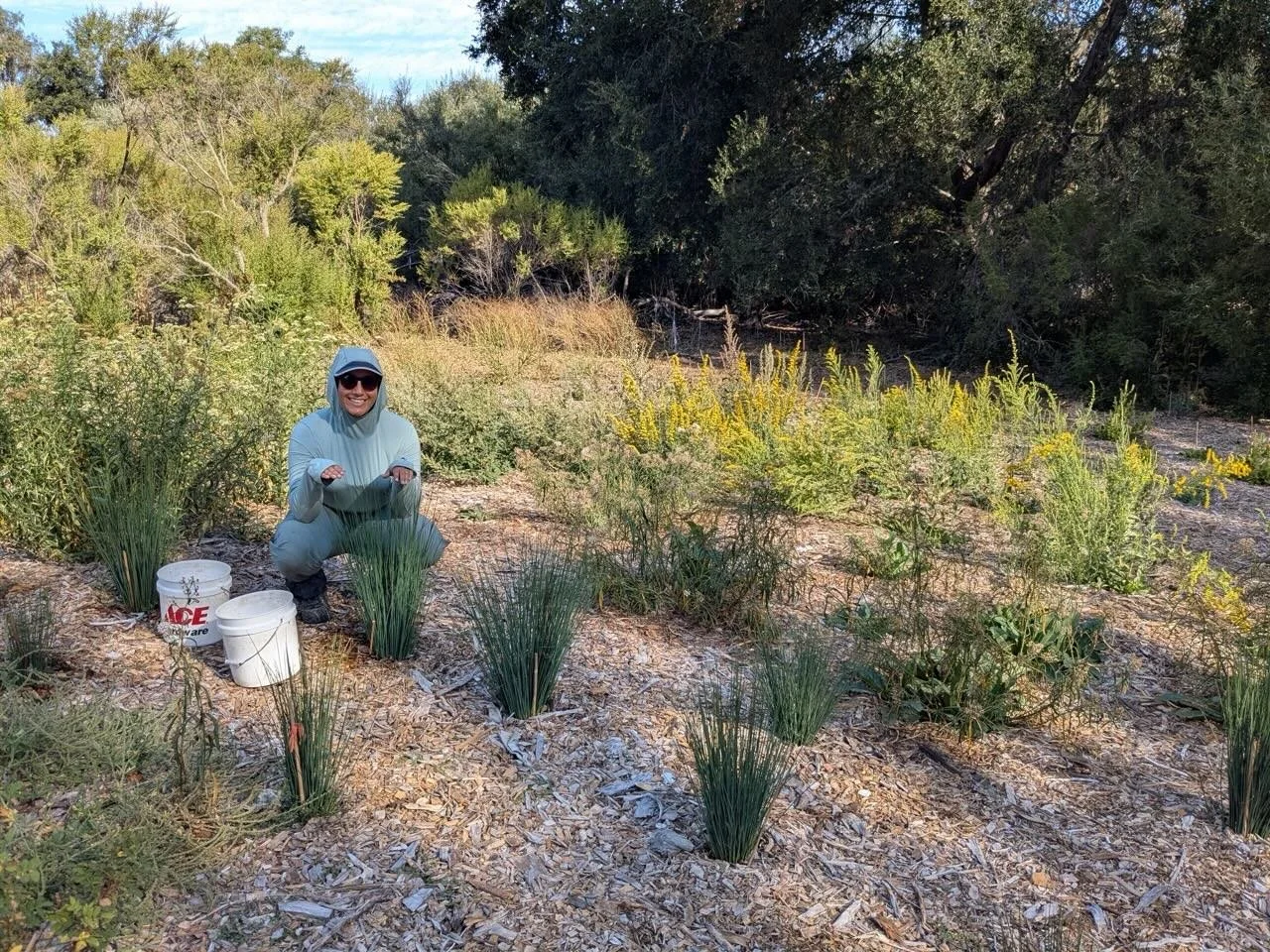 Grassroots Ecology Restoration Sites Now and Then:&nbsp;Arastradero Preserve