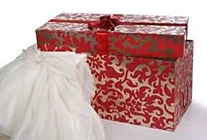 Wedding-dress-box-storage-1.jpg