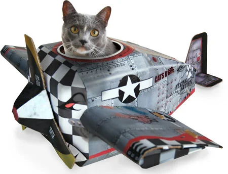 Mach V @ Back To Mine, 20100714