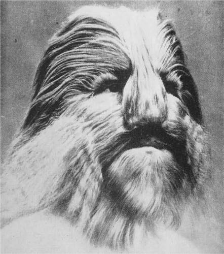 Stephan_Bibrowski__also_known_as_Lionel_the_Lion-Faced_Man_2.jpg
