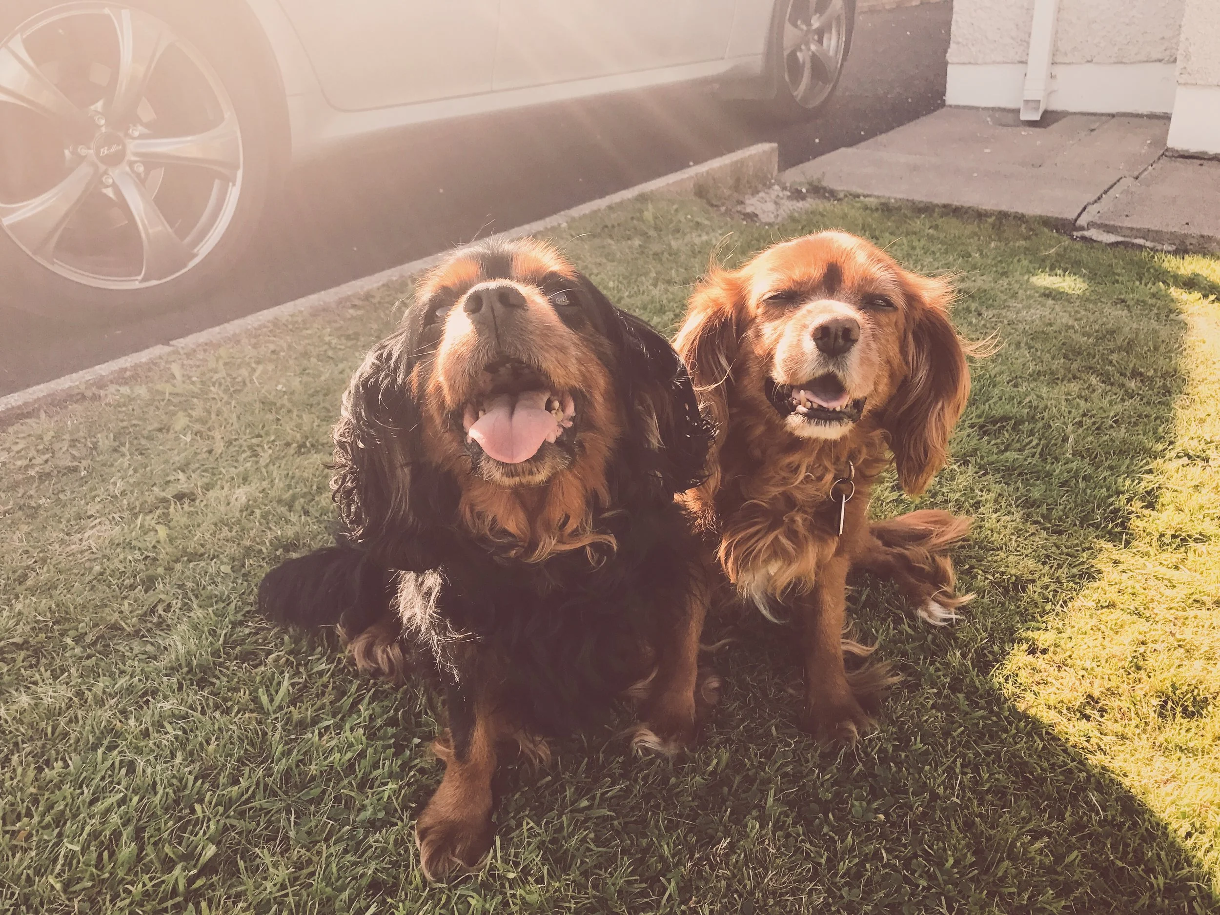 The two family members we actually managed to please this summer.