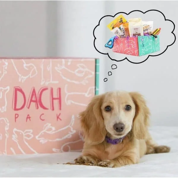 Get 20% the Dach Pack subscription box with coupon code LOVEBUGDOXIES