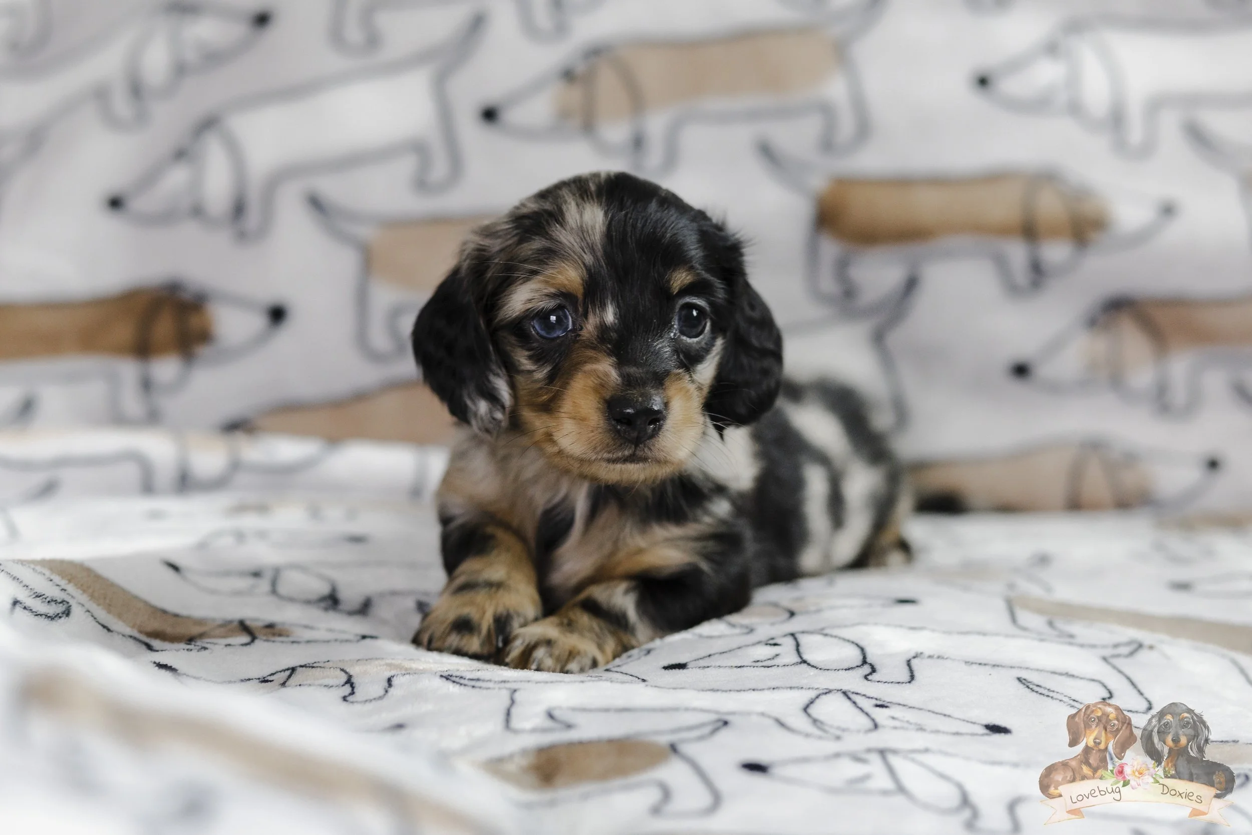 Tina