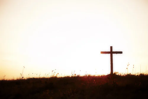 They Crucified Him