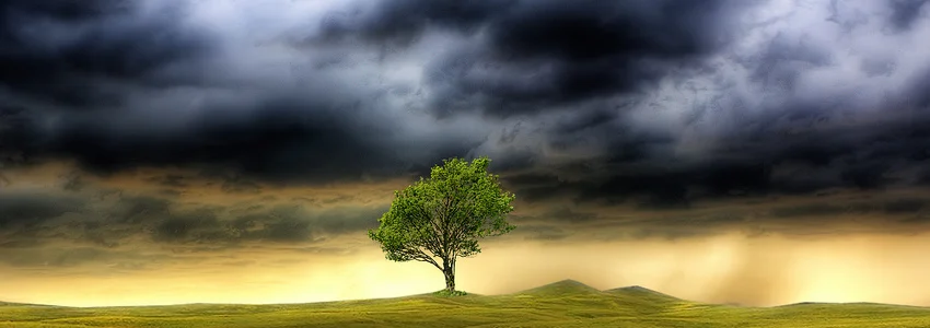 How to Choose Quiet in a Storm