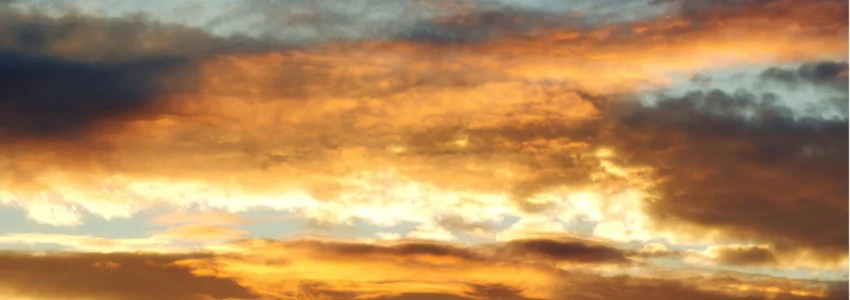 Reflections on Ladies Bible Study: Peacemakers