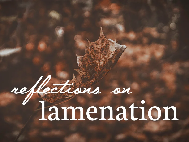 Reflections on Lamentation