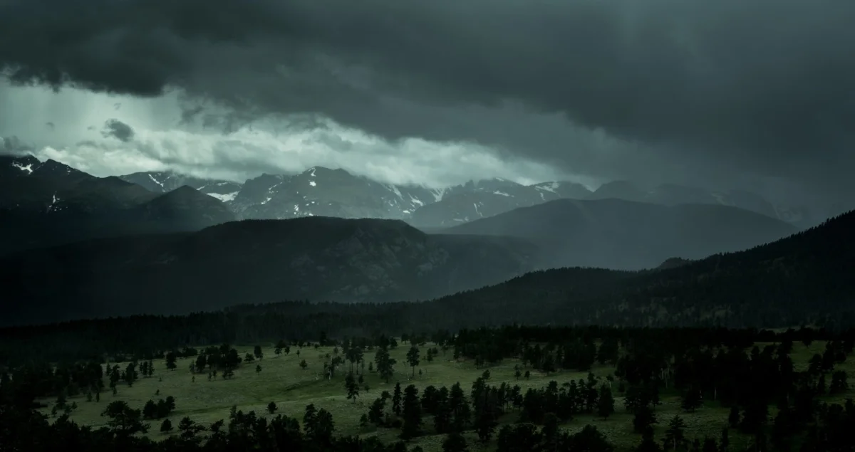 The Bighorns