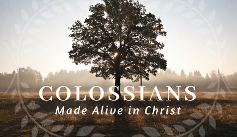  Colossians: Made Alive in Christ 