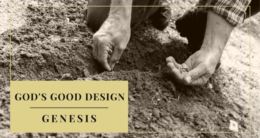 God's Good Design for Sexual Purity Part 4 - The Story of Two Brothers
