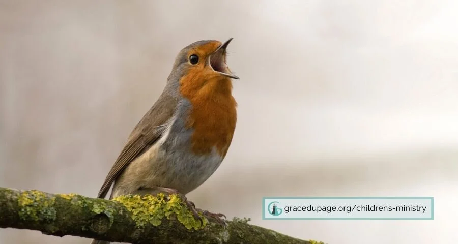 When the Birds Started Singing