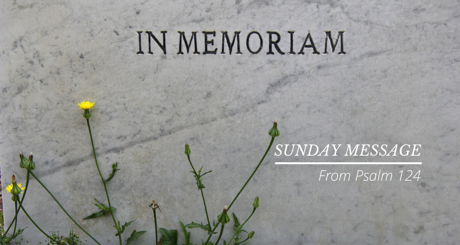 In Memoriam
