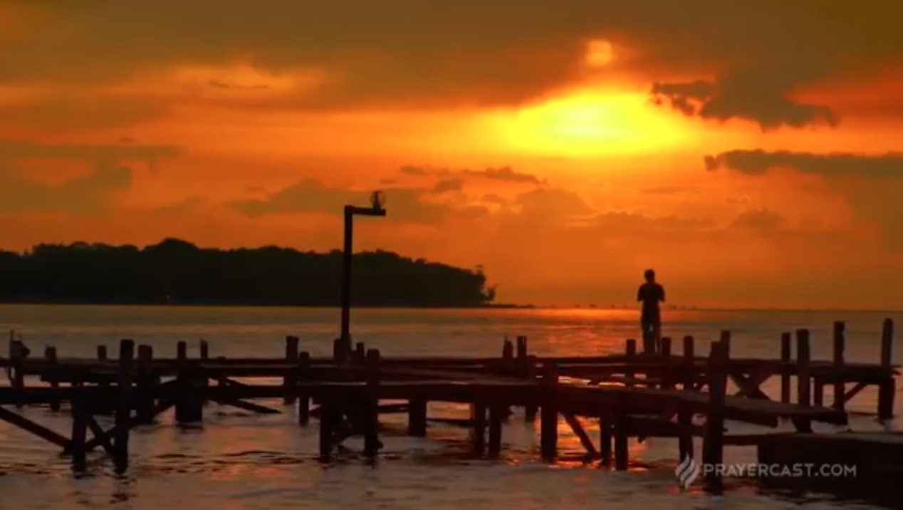 A Video Update from our Global Partner