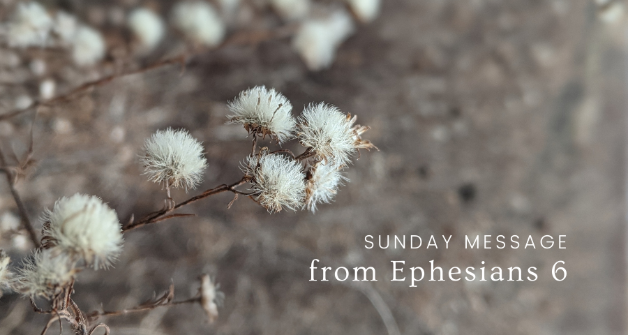 Prayer subverts, Prayer engages, Prayer bleeds