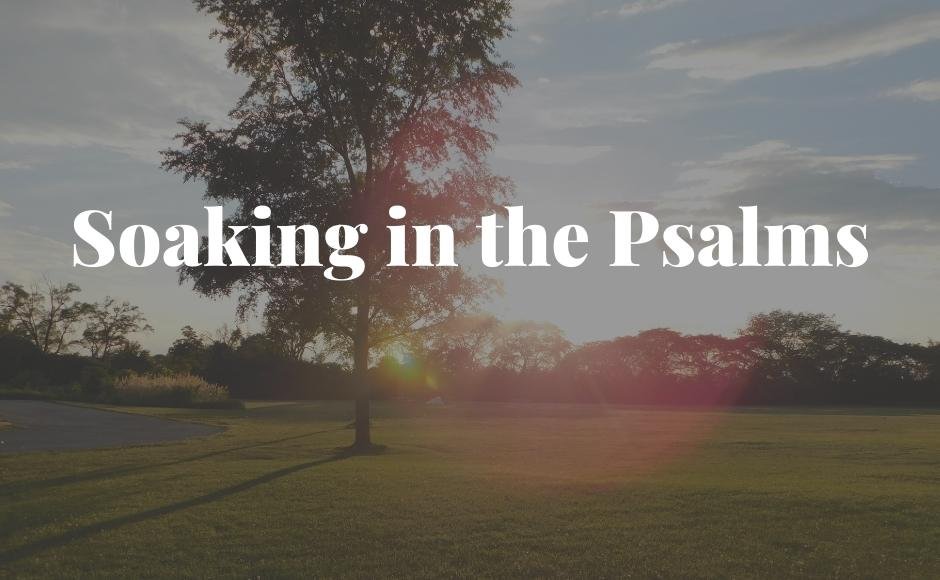  Soaking in the Psalms 